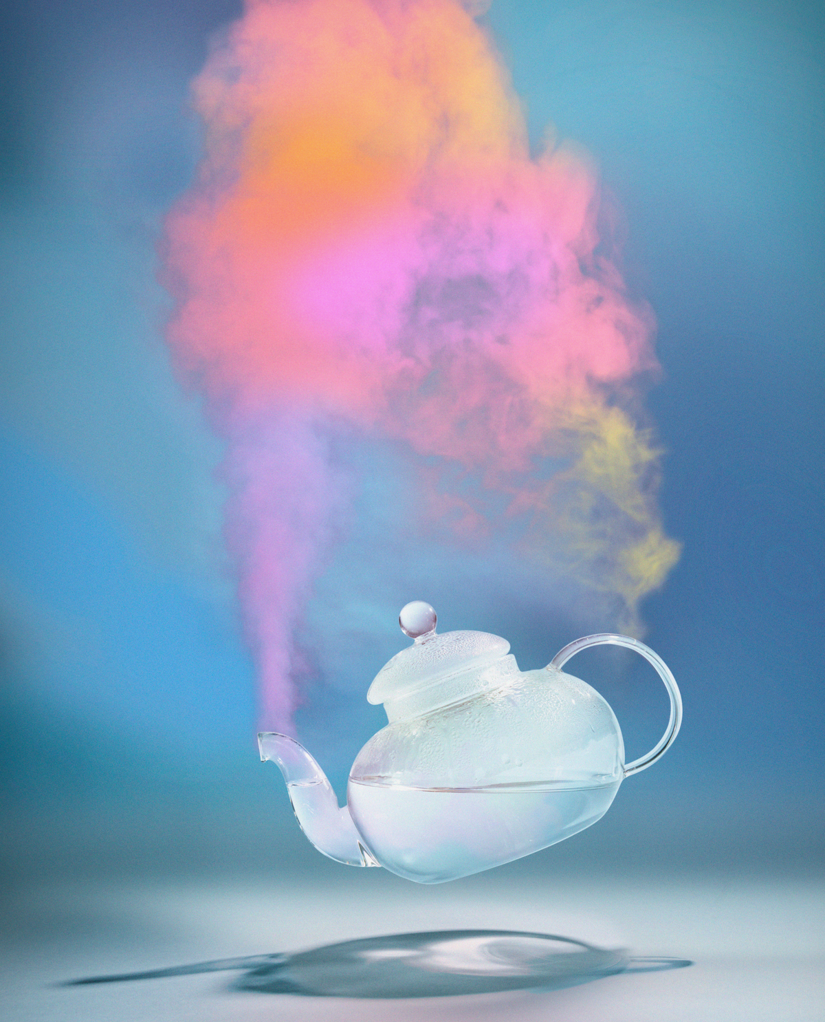 Steamed Rainbow