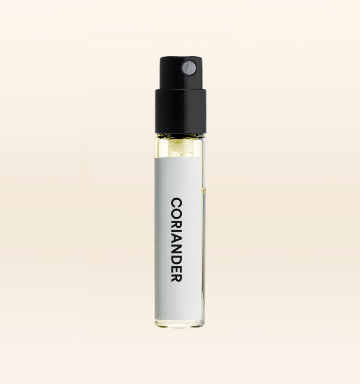 Coriander